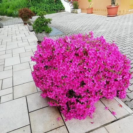 Alloggio Cristina Valdobbiadene Exterior foto