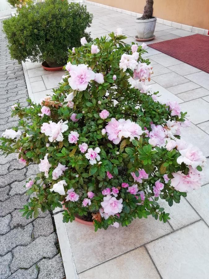Alloggio Cristina Valdobbiadene Exterior foto