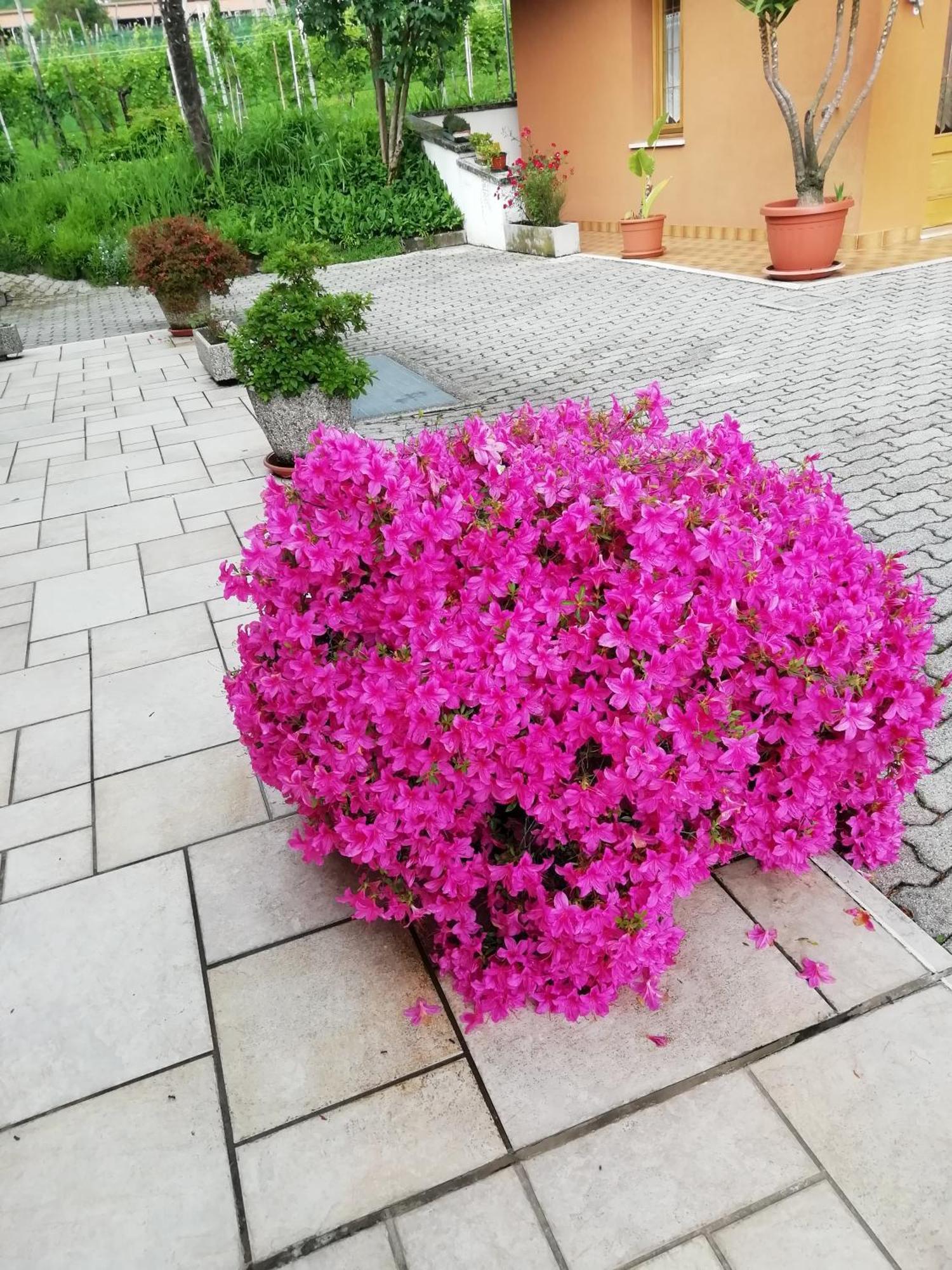 Alloggio Cristina Valdobbiadene Exterior foto
